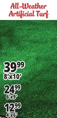 Ocean State Job Lot Artificial Turf offer