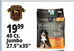 Ocean State Job Lot Huntington Pet Products Professional Grade 27.5 x 35 Puppy Pads with Odor Eliminators 40 Count offer