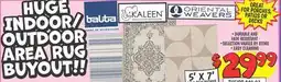 Ollie's HUGE INDOOR/OUTDOOR AREA RUG BUYOUT!!! offer