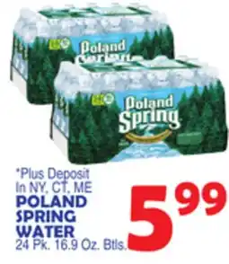 Bravo Supermarkets POLAND SPRING WATER offer