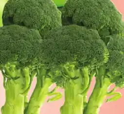 Bravo Supermarkets BROCCOLI offer