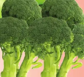 Bravo Supermarkets BROCCOLI offer