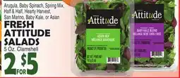 Bravo Supermarkets FRESH ATTITUDE SALADS offer