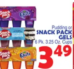 Bravo Supermarkets SNACK PACK GELS offer