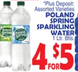 Bravo Supermarkets POLAND SPRING SPARKLING WATER offer