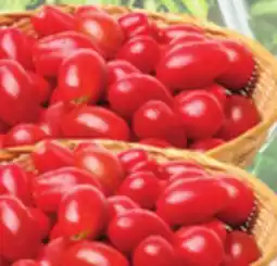 Bravo Supermarkets GRAPE TOMATOES offer