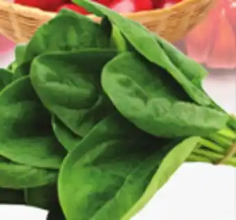 Bravo Supermarkets SPINACH offer