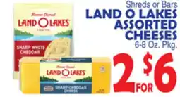Bravo Supermarkets LAND O LAKES ASSORTED CHEESES offer