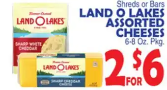 Bravo Supermarkets LAND O LAKES ASSORTED CHEESES offer