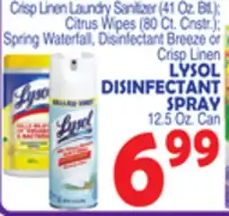 Bravo Supermarkets LYSOL DISINFECTANT SPRAY offer