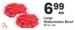 ACME Large Watermelon Bowl offer