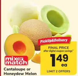 ACME Cantaloupe or Honeydew Melon offer