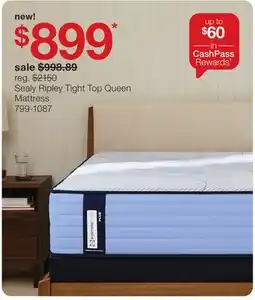 JC Penney Sealy Ripley Tight Top Queen Mattress offer