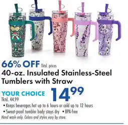 Boscov's 40-oz. Insulated Stainless-Steel Tumblers with Straw offer