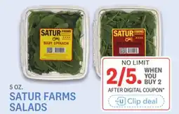 Kings Food Markets SATUR FARMS SALADS offer