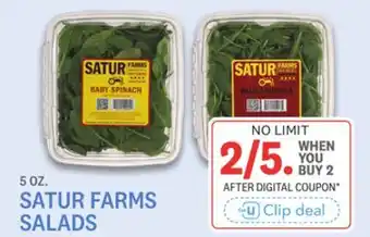 Kings Food Markets SATUR FARMS SALADS offer