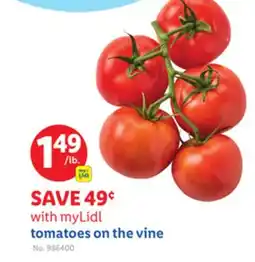 Lidl tomatoes on the vine offer