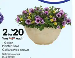 Lowe's 1-Gallon Planter Bowl offer