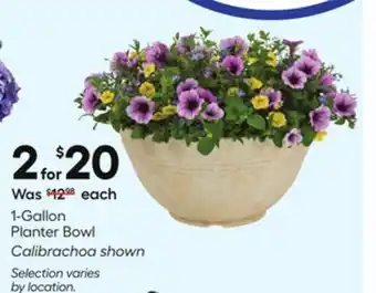 Lowe's 1-Gallon Planter Bowl offer