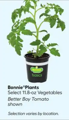 Lowe's Plants offer