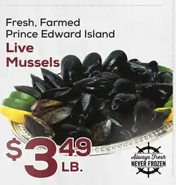 DeCicco & Sons Live Mussels offer