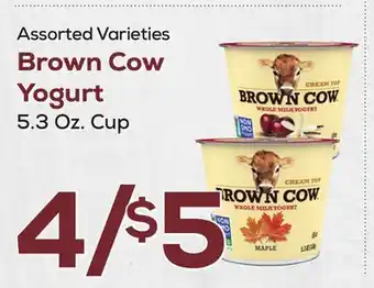 DeCicco & Sons Brown Cow Yogurt offer