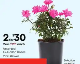Lowe's Assorted 1.7-Gallon Roses offer