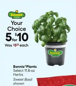 Lowe's Bonnie Plants offer