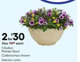 Lowe's 1 - Gallon Planter Bowl offer