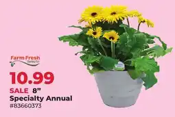 Runnings Farm Fresh Selects 8 Specialty Annual offer