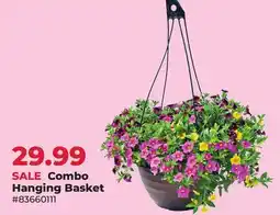 Runnings Combo Hanging Basket offer