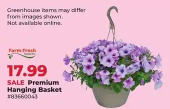 Runnings Farm Fresh Premium Hanging Basket offer