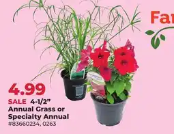 Runnings Farm Fresh Selects 4-1/2 Annual Grass or Specialty Annual offer