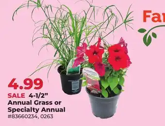 Runnings Farm Fresh Selects 4-1/2 Annual Grass or Specialty Annual offer