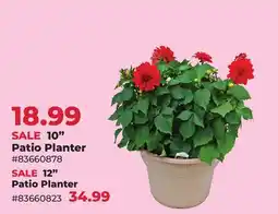 Runnings Farm Fresh 10 Patio Planter offer