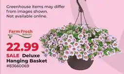 Runnings Farm Fresh Selects Deluxe Hanging Basket offer