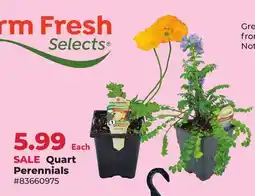 Runnings Farm Fresh Selects Quart Perennials offer