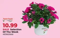 Runnings Farm Fresh Selection Of The Week offer