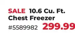 Runnings Bridgeland 10.6 Cu. Ft. Chest Freezer offer