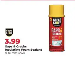 Runnings Great Stuff Gaps & Cracks Insulating Foam Sealant offer