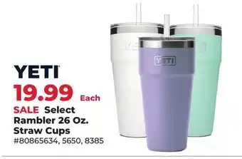 Runnings Select Rambler 26 Oz. Straw Cups offer