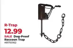 Runnings Dog-Proof Raccoon Trap offer