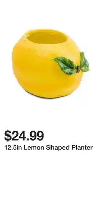 TJ Maxx 12.5in Lemon Shaped Planter offer