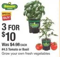 The Home Depot Tomato or basil offer