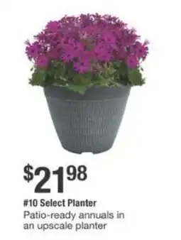 The Home Depot Select Planter offer