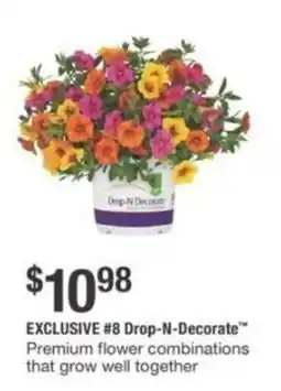 The Home Depot EXCLUSIVE #8 Drop-N-Decorate™ Premium flower combinations that grow well together offer
