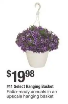 The Home Depot Select hanging basket offer