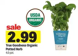 Meijer True Goodness Organic Potted Herb offer