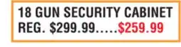 Dunham's Sports 18 GUN SECURITY CABINET offer