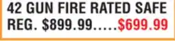 Dunham's Sports 42 GUN FIRE RATED SAFE offer